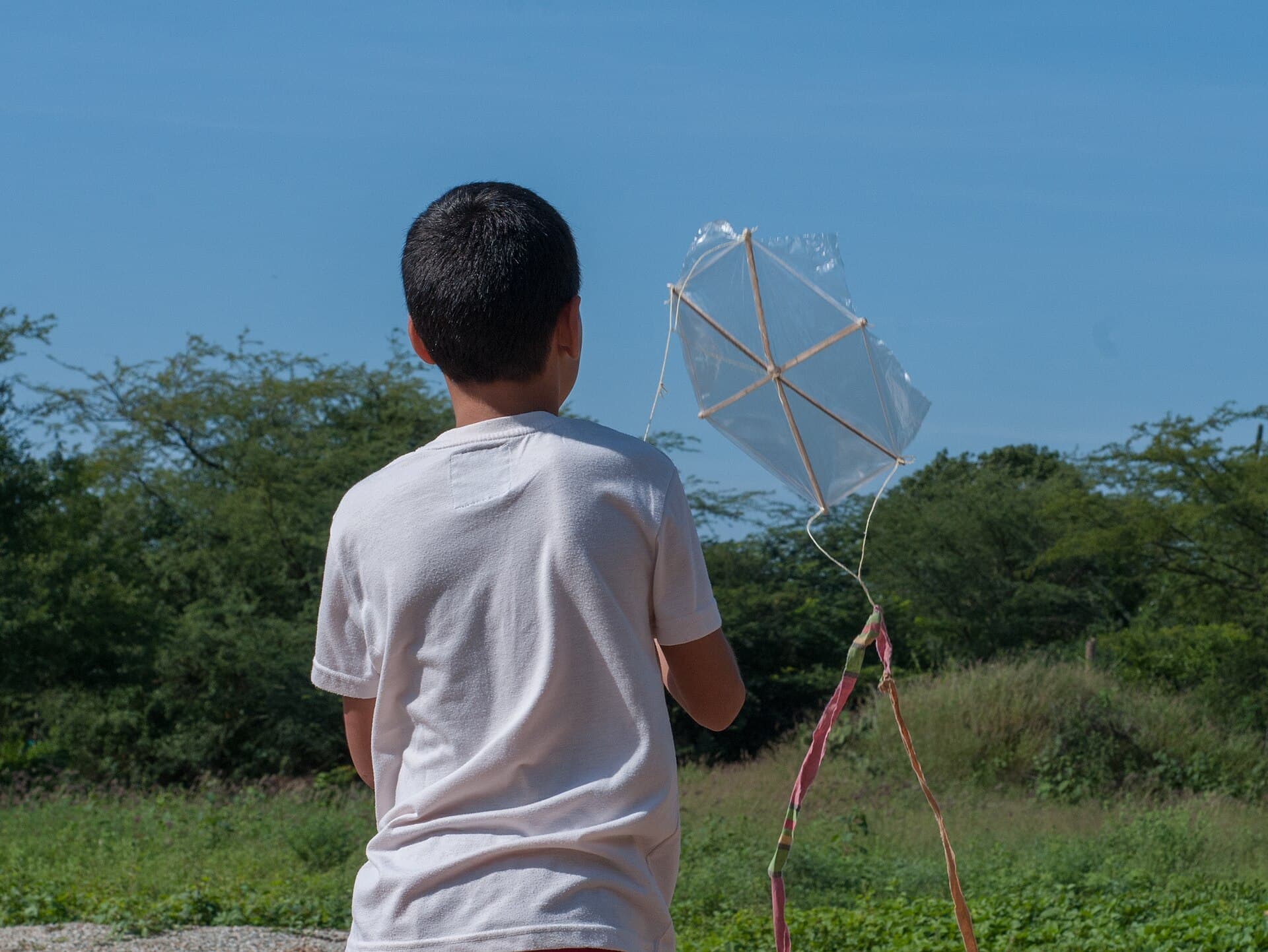 A child seen from behind holding a homemade kite against blue sky and trees.
